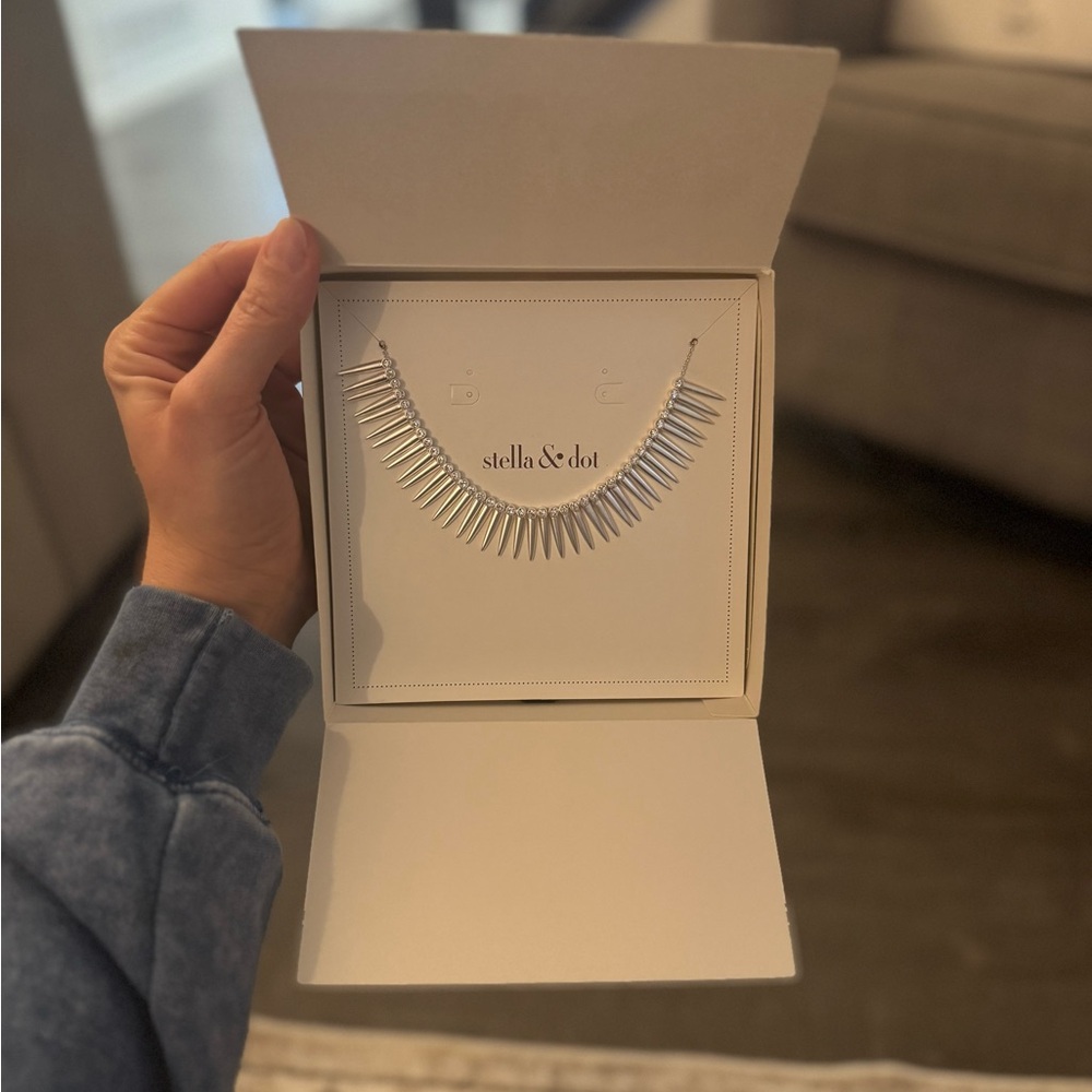 Stella & Dot renegade collar